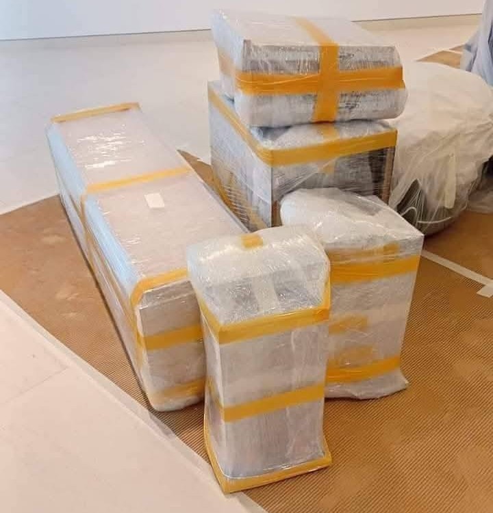 Pest control service being performed in KSA home